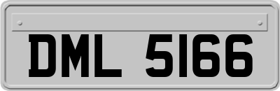 DML5166
