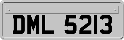 DML5213