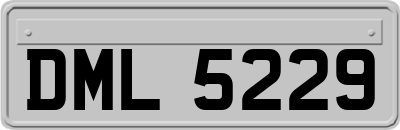 DML5229