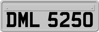 DML5250