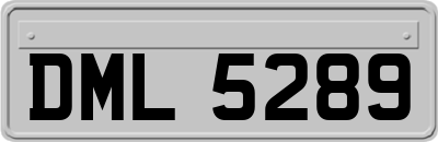 DML5289