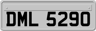 DML5290