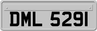 DML5291