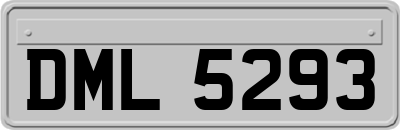 DML5293