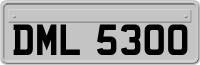 DML5300