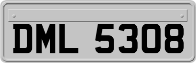 DML5308