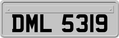 DML5319