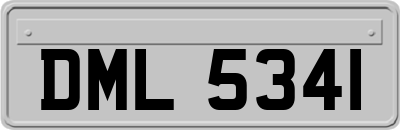 DML5341