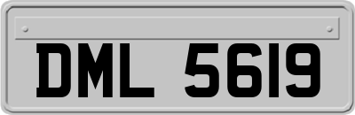 DML5619