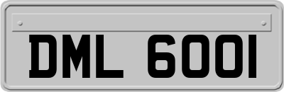 DML6001