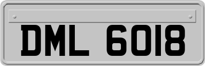 DML6018