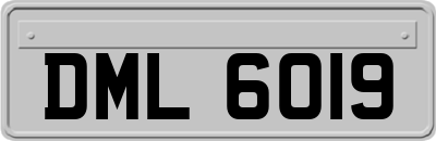 DML6019