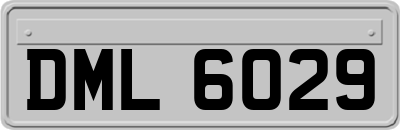 DML6029