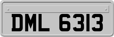 DML6313
