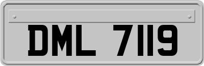 DML7119