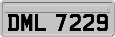 DML7229
