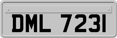 DML7231
