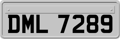 DML7289