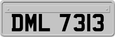 DML7313