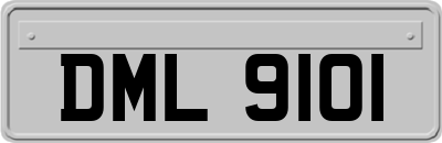 DML9101