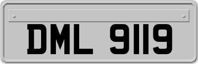 DML9119