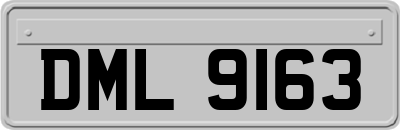 DML9163