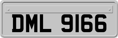 DML9166