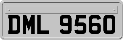 DML9560