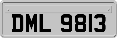 DML9813