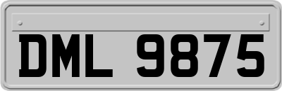 DML9875