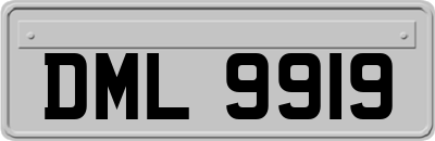 DML9919