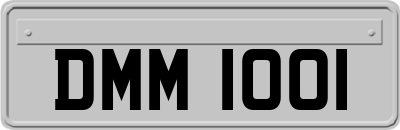 DMM1001