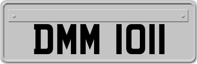 DMM1011