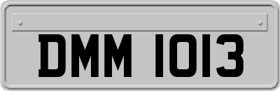 DMM1013