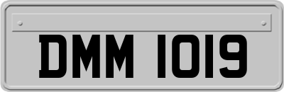 DMM1019
