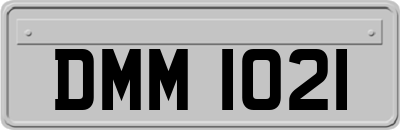 DMM1021