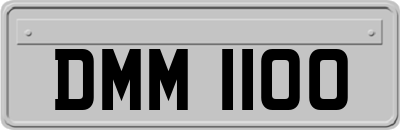 DMM1100