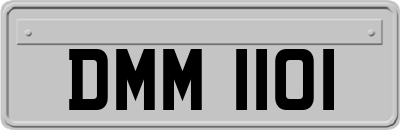 DMM1101