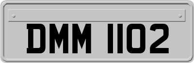 DMM1102