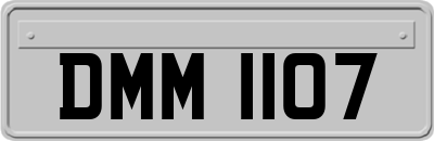 DMM1107