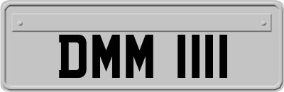 DMM1111