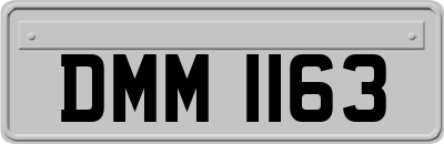 DMM1163