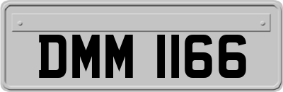 DMM1166