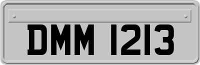 DMM1213