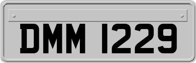 DMM1229