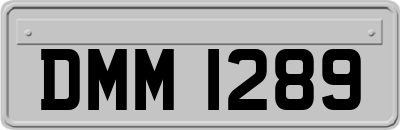 DMM1289