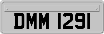 DMM1291
