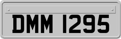 DMM1295