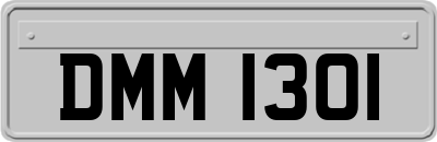 DMM1301