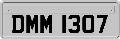 DMM1307